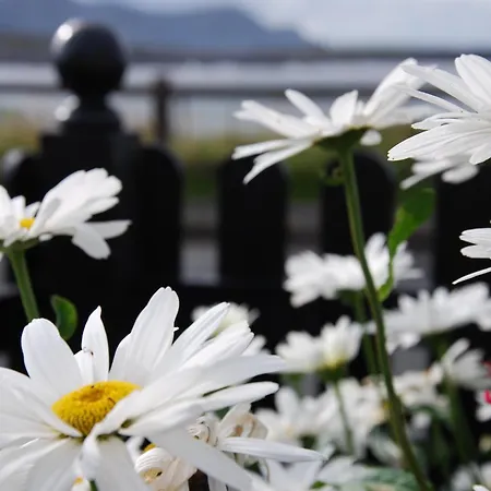 Teach Cruachan Large-group Tatil Evi