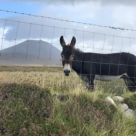 Teach Cruachan *