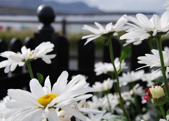 Teach Cruachan Large-group Prázdninový dům
