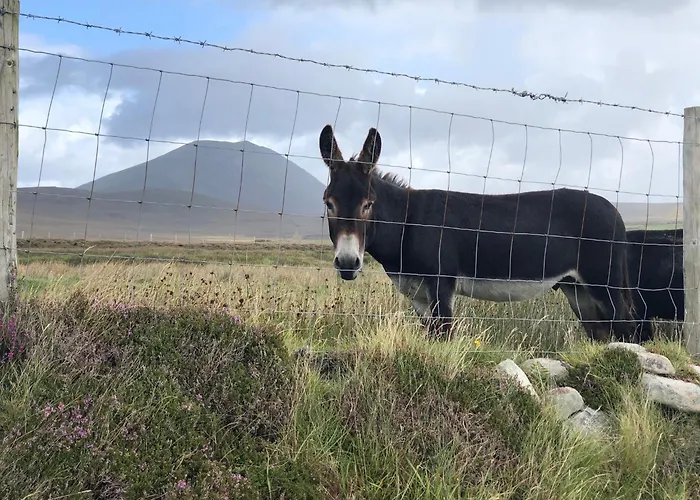 Teach Cruachan Large-group *