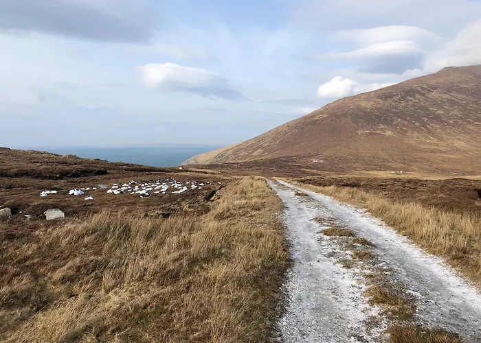 Teach Cruachan Large-group * Dooagh