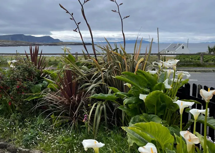 Teach Cruachan Large-group *